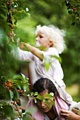 Mother and daughter picking cherries