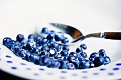 Blueberries with milk (close-up)