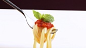 Spaghetti with tomato sauce and basil on fork