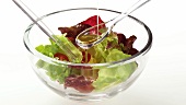Pouring oil over mixed salad leaves