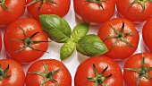 Rotating tomatoes with basil leaves