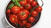 Tomaten mit Basilikumblättern im Sieb