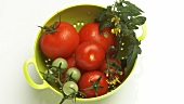 Ripe & unripe tomatoes with stem, leaves & flowers in colander