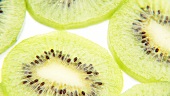 Slices of kiwi fruit, rotating