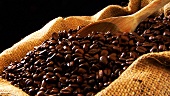 Sack of coffee beans and wooden spoon