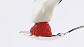 Raspberry and cream on spoon
