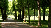 Frau joggt im Park