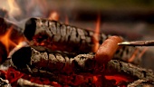 Grilling sausages on open fire