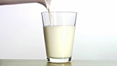 Ein Glas Milch einschenken