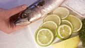 Mackerel with slices of lime and salt