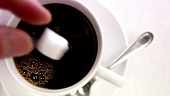 Einen Würfelzucker in eine Tasse Kaffee geben