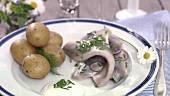 Eingelegte Heringe mit neuen Kartoffeln (Mittsommerfest, Schweden)