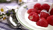 Erdbeeren mit Milch und Zucker