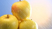 Gelbe Äpfel waschen