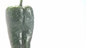 Ein grüner Spitzpaprika