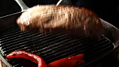 Paprikastreifen und Steak in einer Grillpfanne