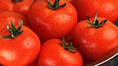 Tomaten mit Wassertropfen in einem Sieb