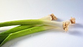 Three leeks with drops of water