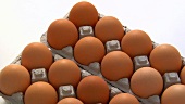 Brown eggs in egg boxes