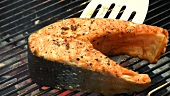 Grilling salmon steak