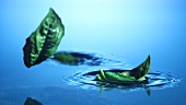 Basilikumblätter fallen ins Wasser