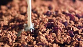 Pouring milk on granola with cranberries
