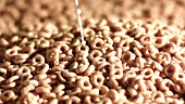Milch über ringförmige Cerealien gießen