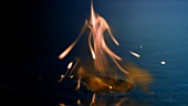 Wasser und Feuer (Brennendes Streichholz fällt ins Wasser)