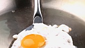Frying an egg in a frying pan