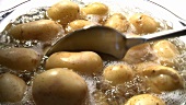 Boiling potatoes in water