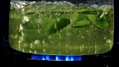 Cooking pea pods in hot water