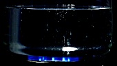 Glastopf mit kochendem Wasser auf Gasflamme