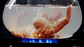 Garnelen in kochendem Wasser