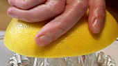 Squeezing grapefruit (close-up)