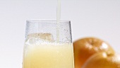 Grapefruitsaft in ein Glas mit Eiswürfeln gießen