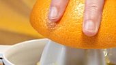 Squeezing an orange with an electric citrus squeezer (close-up)