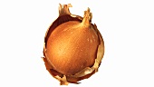 An onion