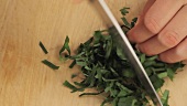 Ramson leaves being chopped
