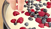 Fresh berries being sprinkled on a fridge cake