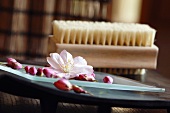 Blossoms on platter, nailbrush in background, close-up