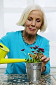 Senior woman watering houseplant, close-up