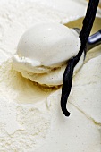 Vanilla icecream on ice cream scoop, close-up