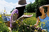 Two women having picnic in field