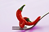 Two red chillies on fork