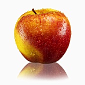 Rot-gelber Apfel mit Wassertropfen und Reflexion