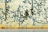 Gorgonzola (close-up)