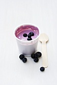 Blueberry yoghurt in opened pot