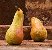 Pears with drops of water in front of brick wall