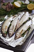 Fresh fish with herb stuffing on aluminium foil