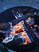 Glowing charcoal in barbecue